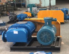 Design and application of Roots blower for pneumatic conveyi